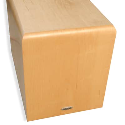 HD FIDELITY 150 watt, 10 inch Subwoofer Powered Speaker image 1