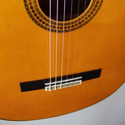 Brand New Yamaha GC12S Nylon String Classical Guitar image 5