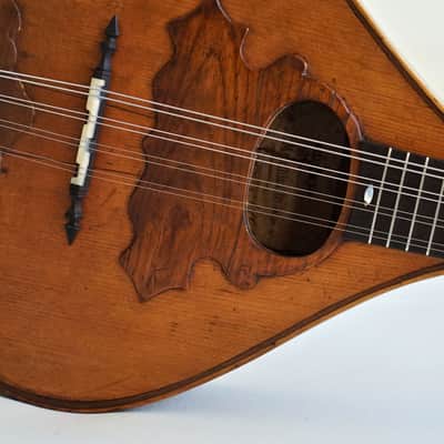Mandolin by J. Murthwaite Newcastle 1901 image 7