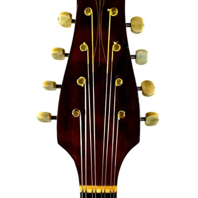 G. Kasermann High-End Curved Ribs Concert Mandolin (L’estudiantina) 1920s image 13