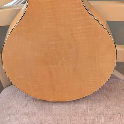 Silvertone A style 1950's Mandolin image 12