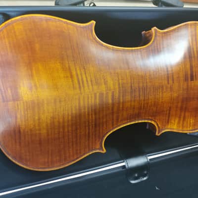 Stentor SR1880OFTA Violin 4/4, Handmade ProSeries Arcadia, Fernambuk Bogen, DeLuxe Case Polycarbonat image 5