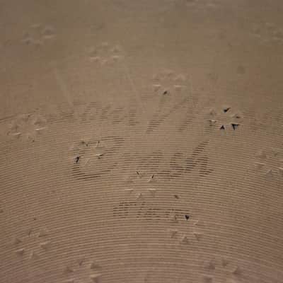Zildjian 18" Medium Crash image 5
