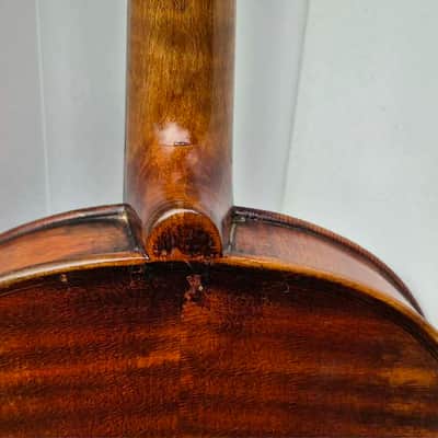 Schöne alte Geige Guarnerius Modell image 9