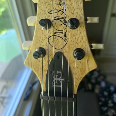 PRS Wood Library 10-top 2024 DGT Copperhead with Korina back and neck image 3