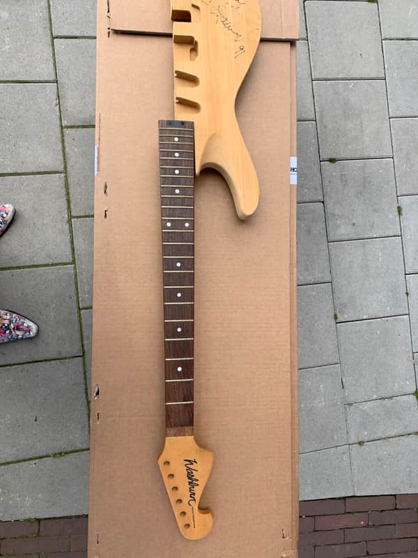 Washburn Nuno Bettencourt image 1