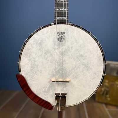 Custom Deering Eagle II 19-Fret Tenor Openback Banjo image 4