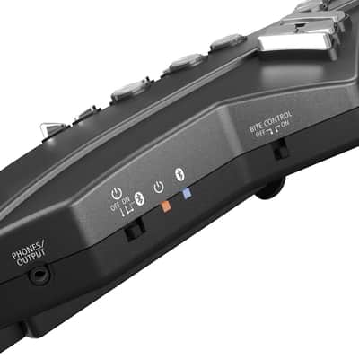 Mint Roland AE-05 Explore the Inspirational World of Wind Instruments with AEROPHONE GO image 7