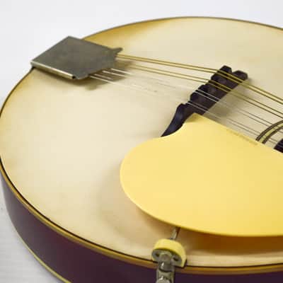 Gibson A-3 Mandolin 1919 - Ivory image 8