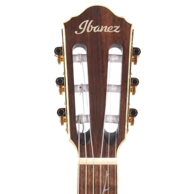Ibanez TOD10NTKF - Nylon String Acoustic Electric - Transparent Flat Black image 6