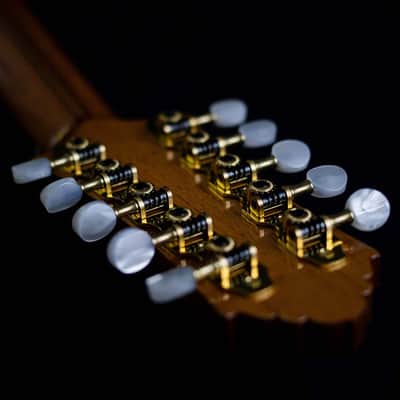 Antonio Huggler 10-String Mandolin | Brazil image 9