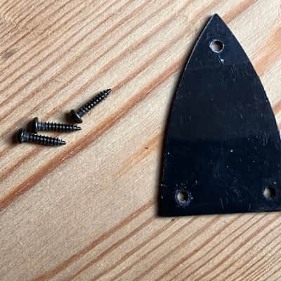 BC Rich Mockingbird Guitar Truss Rod Cover 2000s image 2