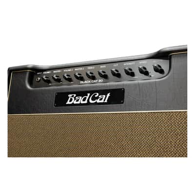 Bad Cat Mark Sampson Modded Black Cat 30-Watt 1x12" Tube Combo Amplifier image 5
