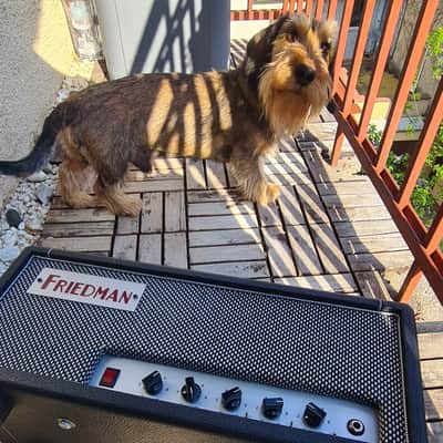 Friedman Mini Dirty Shirley 20-Watt // Jose Arredondo mods! image 14