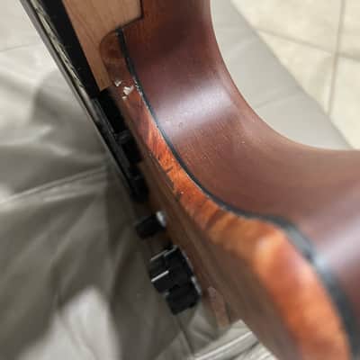 Swan Alpha Special Fanned Fret 2022 image 5