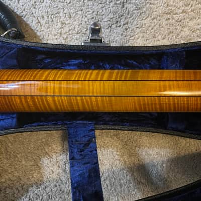 Megas Athena 7 String Archtop Autumn Burst image 8