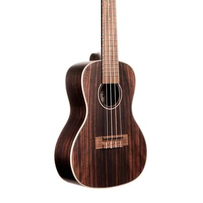 Kala Striped Ebony Concert Ukulele image 4