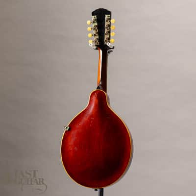 Gibson A-4 Black Top 1913 image 14
