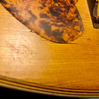 Unbranded Bowl Back Mandolin Early 1900's "For Repair" image 8
