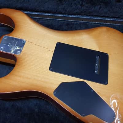 2012 Lipe Custom USA Virtuoso Flame Maple Top Amalfitano Electric Guitar image 8