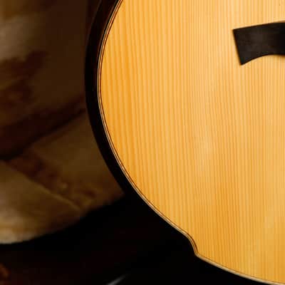 Maestro Custom Series Raffles IR Acoustic-Electric Guitar Pre-Owned image 7