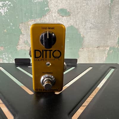 TC Electronic Ditto Looper Limited Edition | Reverb