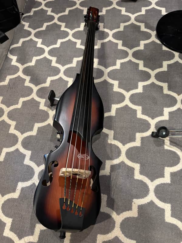 BSX Allegro Bass 5 String 2000s image 1
