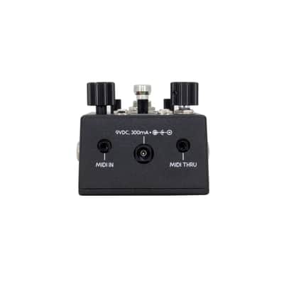 Walrus Canvas Rehearsal Pedal image 4