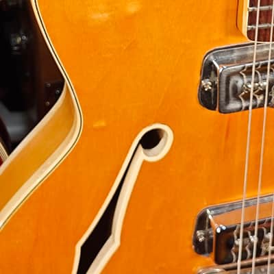 Fender  Coronado II 1967 Natural Semihollow Mod image 3