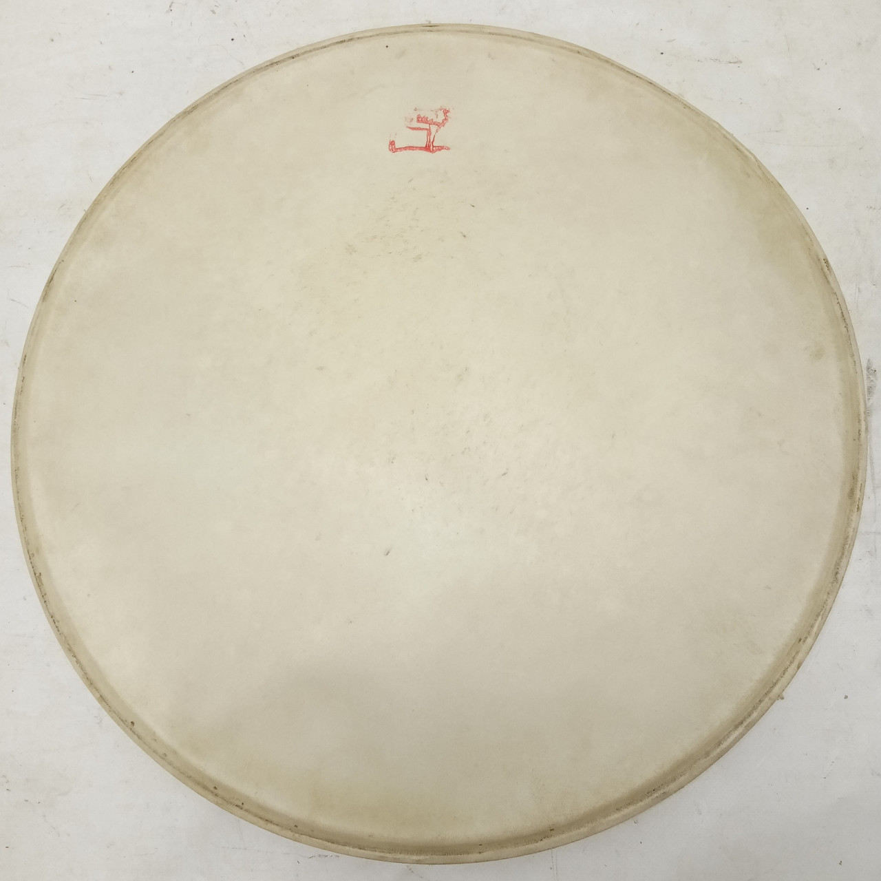 Ludwig 16"Whitecalf Floor Tom Drum Calf Skin Batter/Resonant Head Vintage 50s US — main photograph