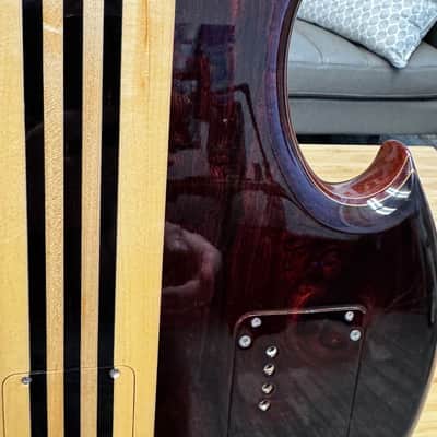 Alembic Series II - The Roman Conqueror 2004 - Cocobolo image 11
