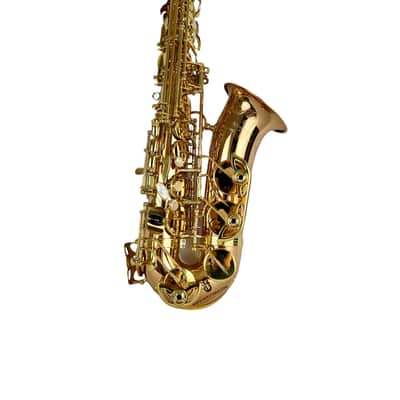 Yanagisawa AWO20UL Unlacquered Bronze Elite Alto Saxophone New In Box! image 15