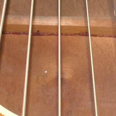Vintage Fender Uni-Bar Reinforced Neck Acoustic | Made in USA | c.1959–1962 | Fresh Professional Setup image 7