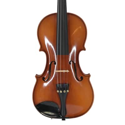 Violin 4/4 Paesold Mod Nr 5800-4 image 2