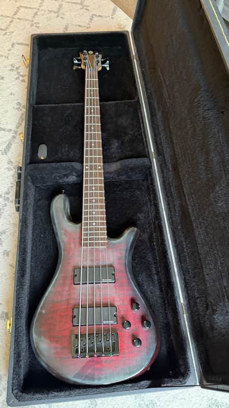 Spector Q5 Pro Black Cherry image 1