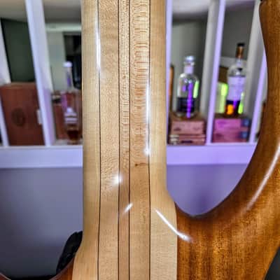 Alembic Rogue 1999 image 10