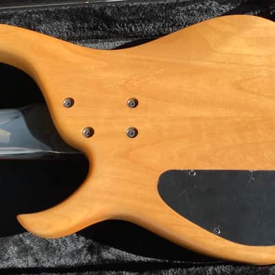 Modulus Graphite Quantum Q5 5-String Bass Guitar, graphite neck image 22