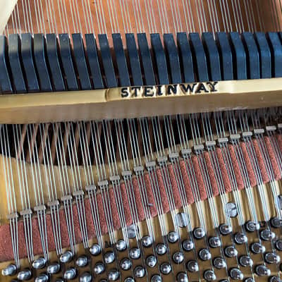 Steinway & Sons Model L 1974 - Ebony Satin image 14