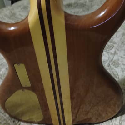 Alembic CUSTOM 1994 image 7