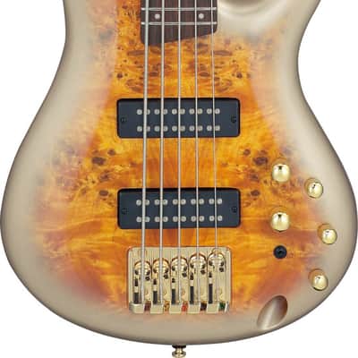 Ibanez SR405EPBDXMGU SR Electric Bass 5-String - Mars Gold Metallic Burst image 2