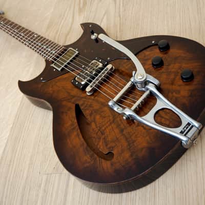 2015 Echopark Custom Crow Case Study Boutique Semi-Hollowbody Electric Guitar w/ ohsc, QOTSA image 9