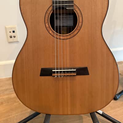 Giussani Messala 2025 - Western Red Cedar Indian Rosewood Ebony image 8