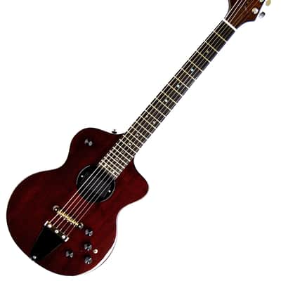 Rick Turner Model 1 CLBP Lindsey Buckingham Piezo Electric Guitar image 1