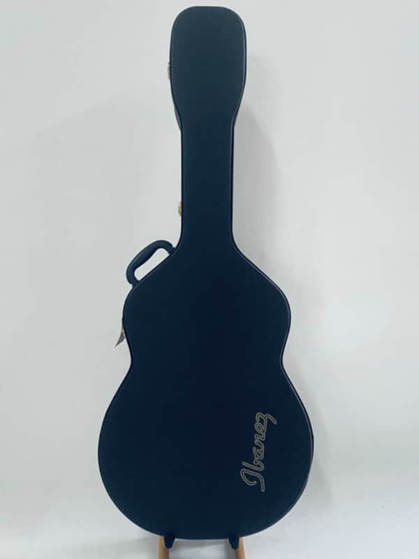 Ibanez 41 Inch Acoustic Guitar Hard Case in Black image 1