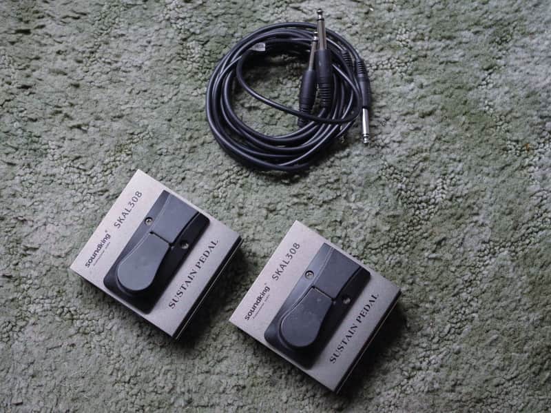 Used Soundking SKAL308 sustain pedal with cables - lot of 2 image 1
