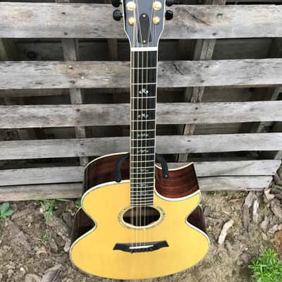 Taylor 955 12-string acoustic guitar image 10