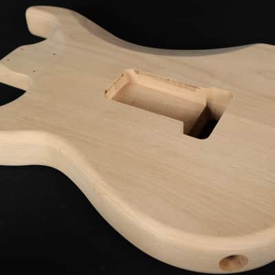 Michael Kelly MK60 Strat Electric Guitar Kit Maple Neck and Alder Body image 5