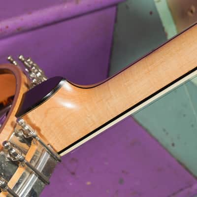 2010s Eastman Whyte Laydie-Style 5-String Openback Banjo (VIDEO! Fresh Work, Ready) image 19