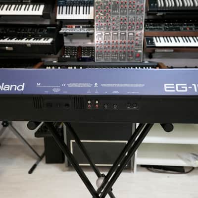 Roland EG-101 just serviced image 8
