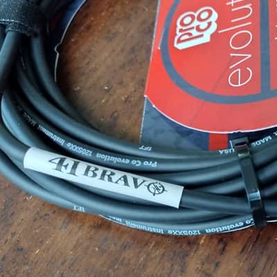 Cable Instrument 25-foot ProCo EVLGCN-25 STR-STR image 2